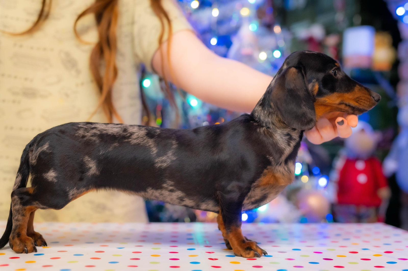 Violet’s Galaxy Eperke